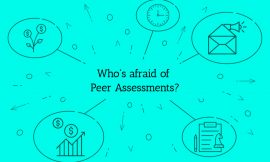 Peer assessments… are they worth doing?