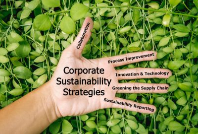 Are Environmental Collaborative Strategies Greener Pastures?