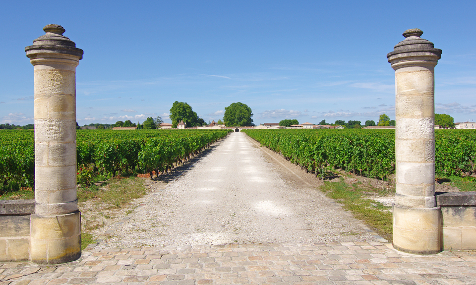 Chinese acquisitions in the Bordeaux vineyards: have their new owners really been neglecting them?