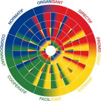 DISC methode